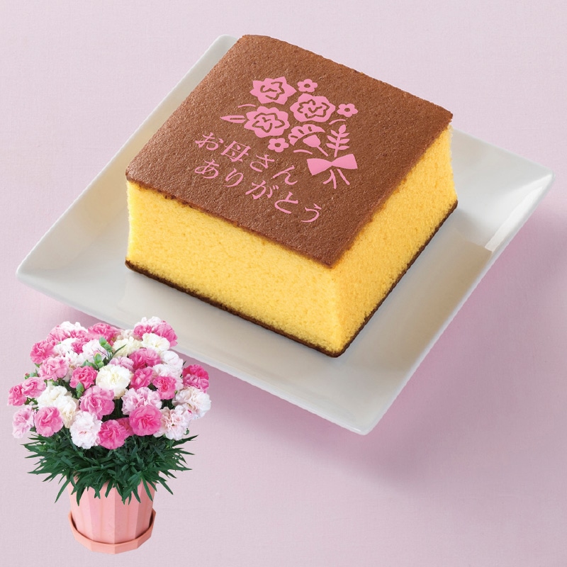 ����̓����J�[�l�[�V�����u�������\�t�g�i�q�j�v�{�������J�X�e���Z�b�g