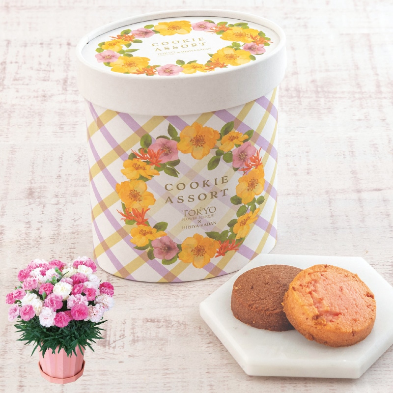 ����̓����J�[�l�[�V�����u�������\�t�g�i�q�j�v�{�����t�����[�u�[�P�N�b�L�[�A�\�[�g�Z�b�g