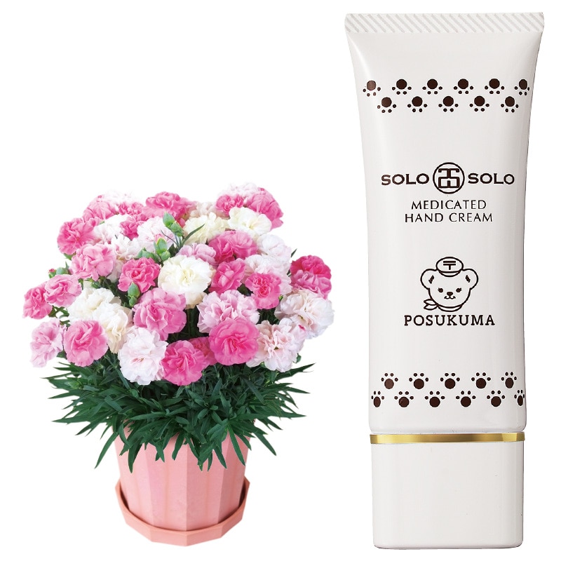 ����̓����J�[�l�[�V�����u�������\�t�g�i�q�j�v�{�n���h�N���[���Z�b�g