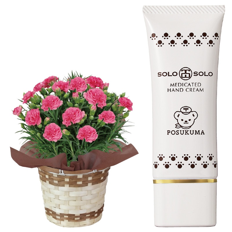 ����̓����s���N�̃J�[�l�[�V�����{�n���h�N���[���Z�b�g