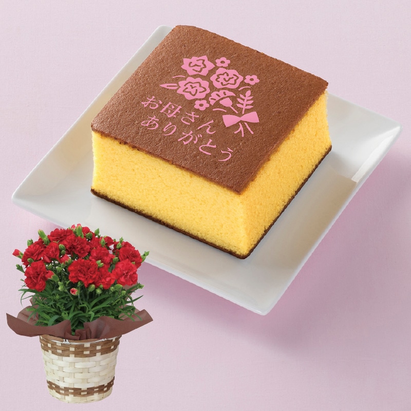 ����̓����Ԃ̃J�[�l�[�V�����{�������J�X�e���Z�b�g