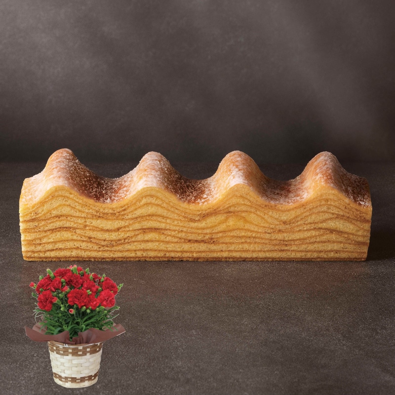 ����̓����Ԃ̃J�[�l�[�V�����{�˂���ƃo�[���N�[�w���Z�b�g