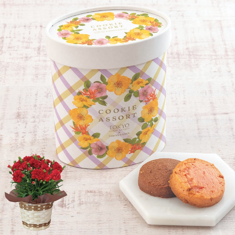 ����̓����Ԃ̃J�[�l�[�V�����{�����t�����[�u�[�P�N�b�L�[�A�\�[�g�Z�b�g