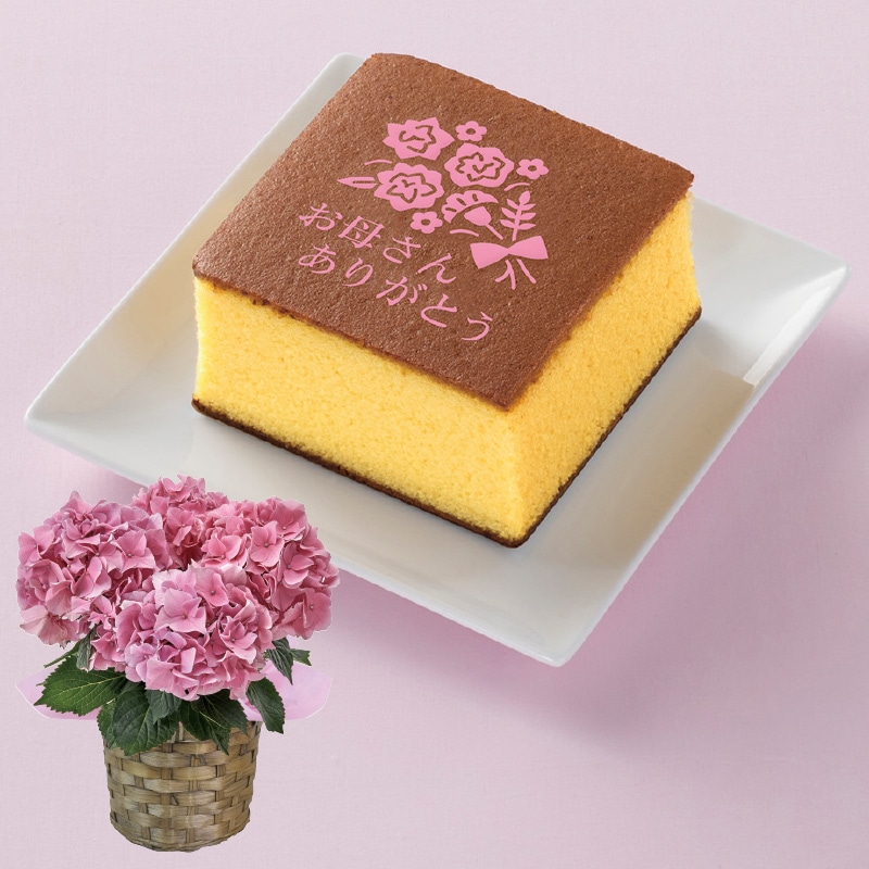 ����̓����s���N�̃A�W�T�C�{�������J�X�e���Z�b�g