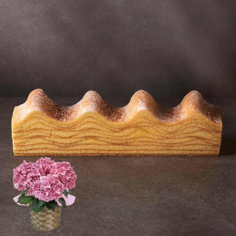 ����̓����s���N�̃A�W�T�C�{�˂���ƃo�[���N�[�w���Z�b�g