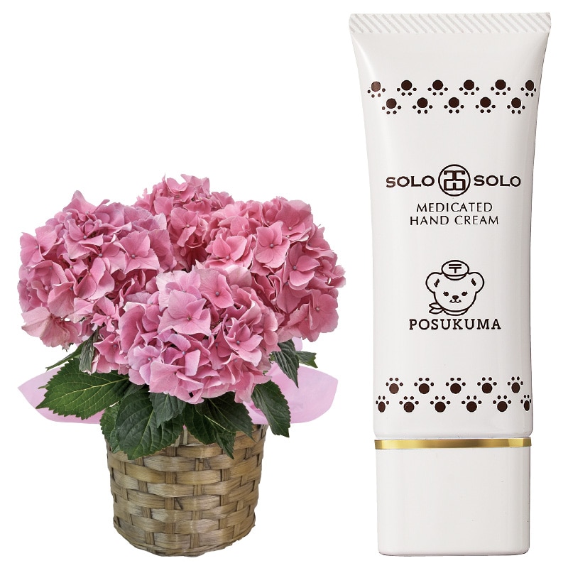 ����̓����s���N�̃A�W�T�C�{�n���h�N���[���Z�b�g