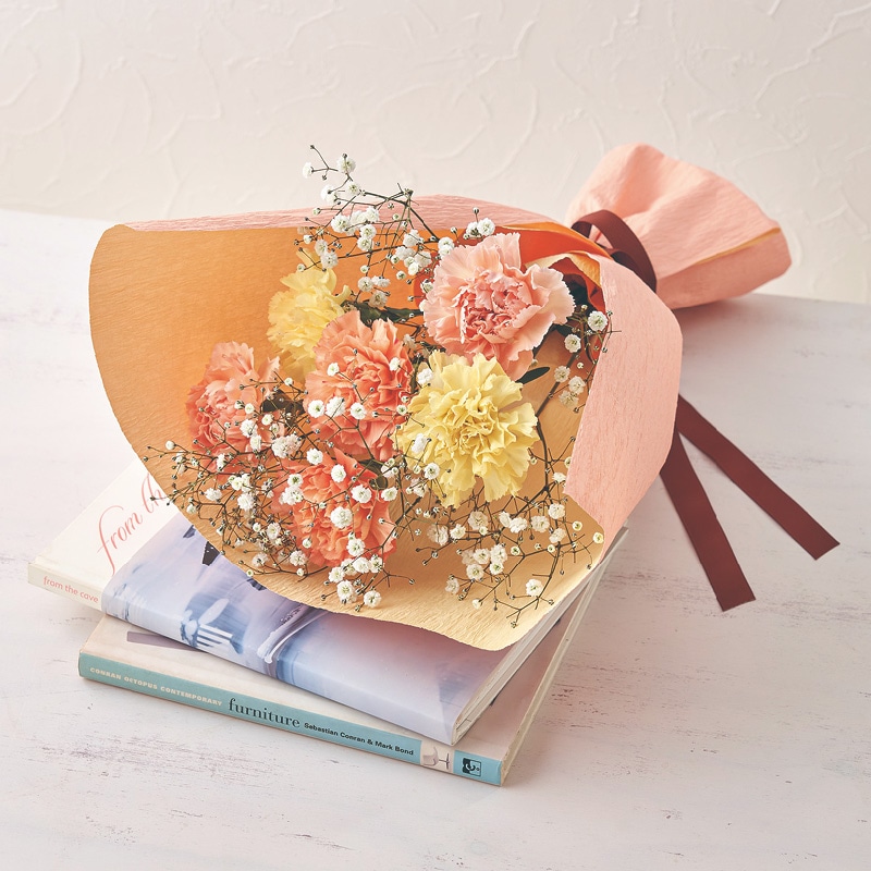 ����̓�����̓��ԑ��i�r�^�~���J���[�j