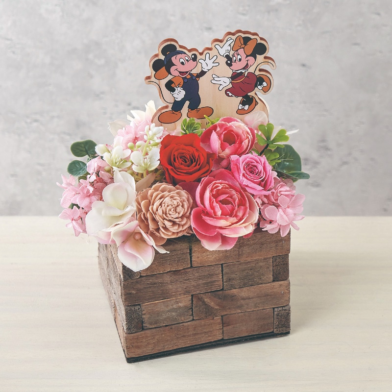 ����̓����v���U�[�u�h�t�����[�u�~�b�L�[���~�j�[�v