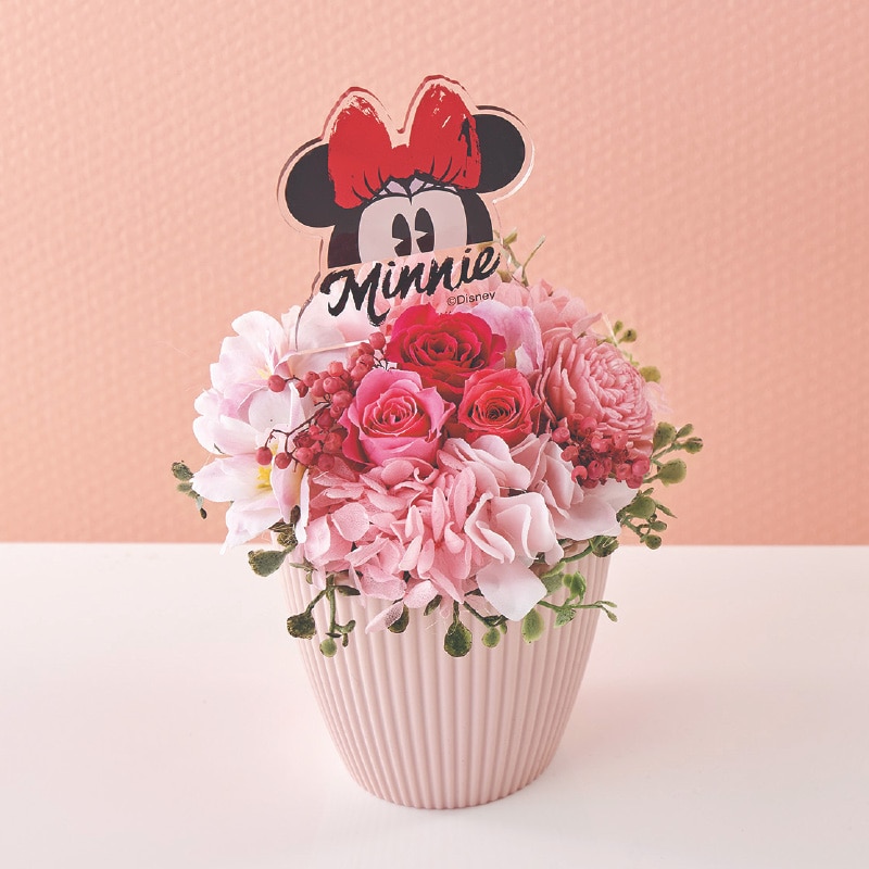 ����̓����v���U�[�u�h�t�����[�u�~�j�[�v