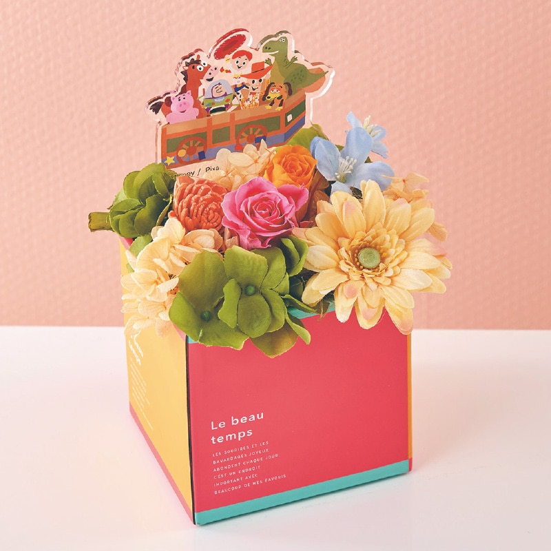 ����̓����v���U�[�u�h�t�����[�u�g�C�E�X�g�[���[�v