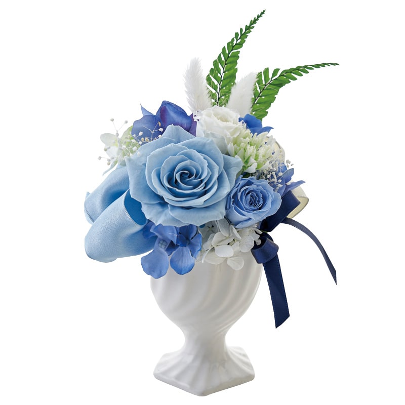 ����̓����v���U�[�u�h�t�����[�u�ڗ��v