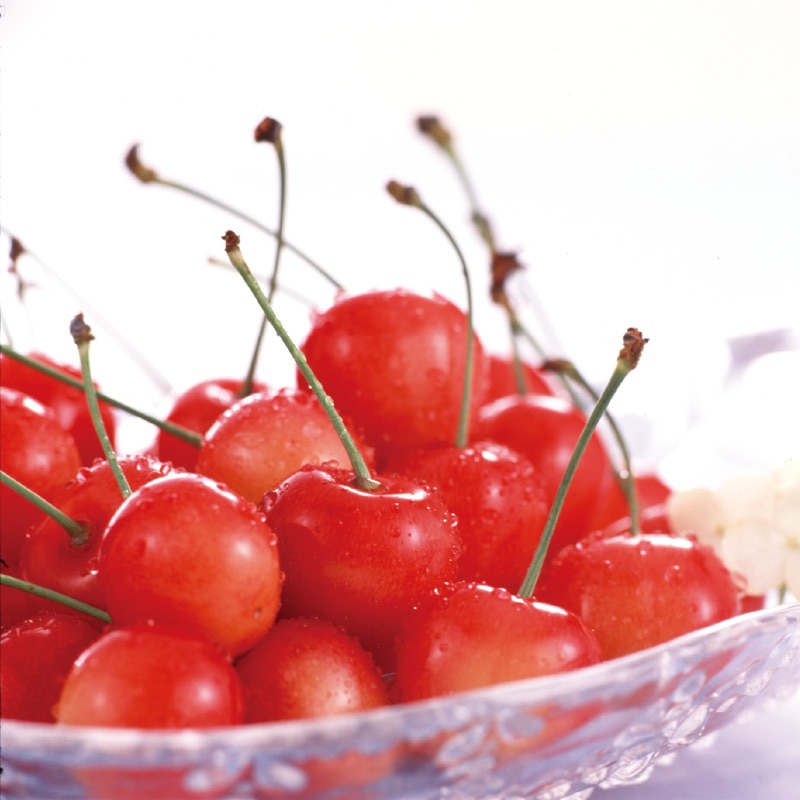 ����̓����n�E�X������