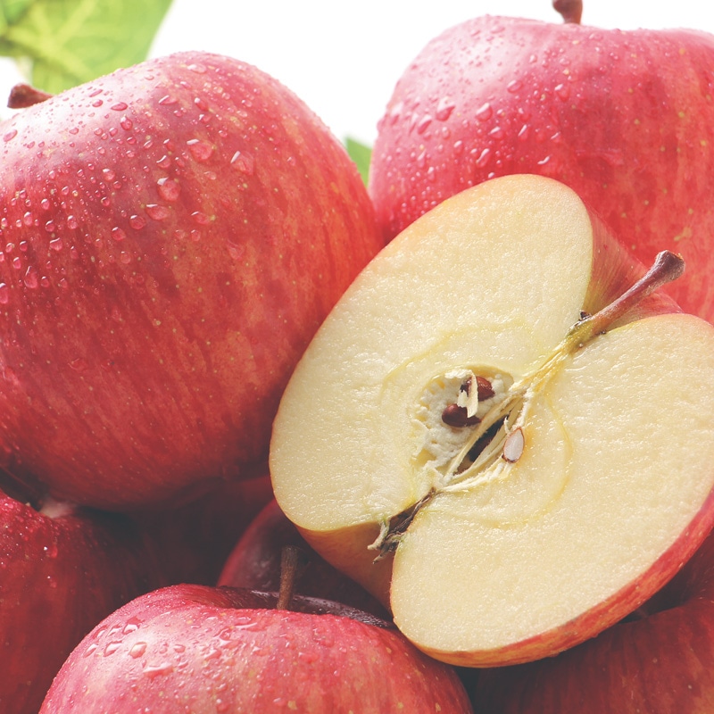 ����̓����X���Y�@�����T���ӂ�