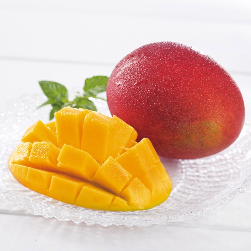 ����̓����{�茧�Y�@���n�}���S�[