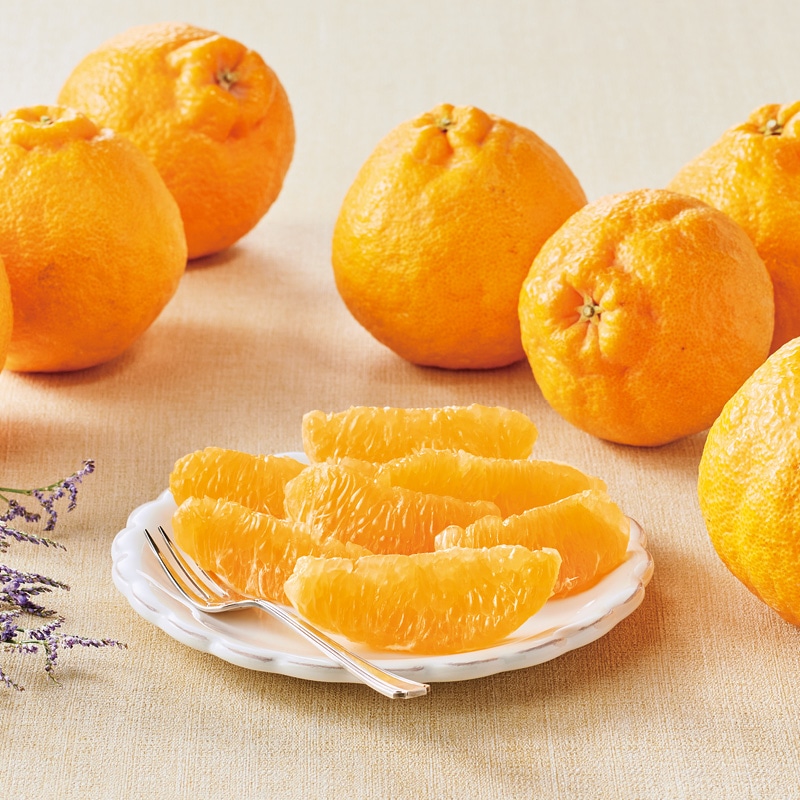 ����̓����f�R�|��