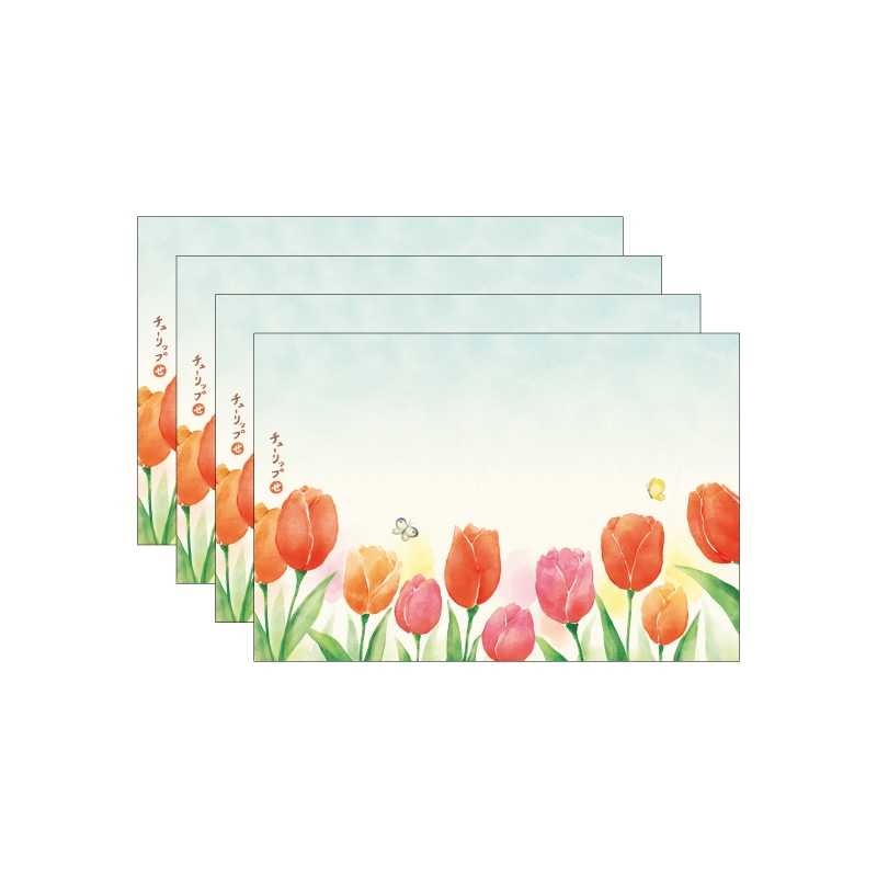 �G����͂����@�Q�O�Q�U�t���@�`���[���b�v�@�S���Z�b�g