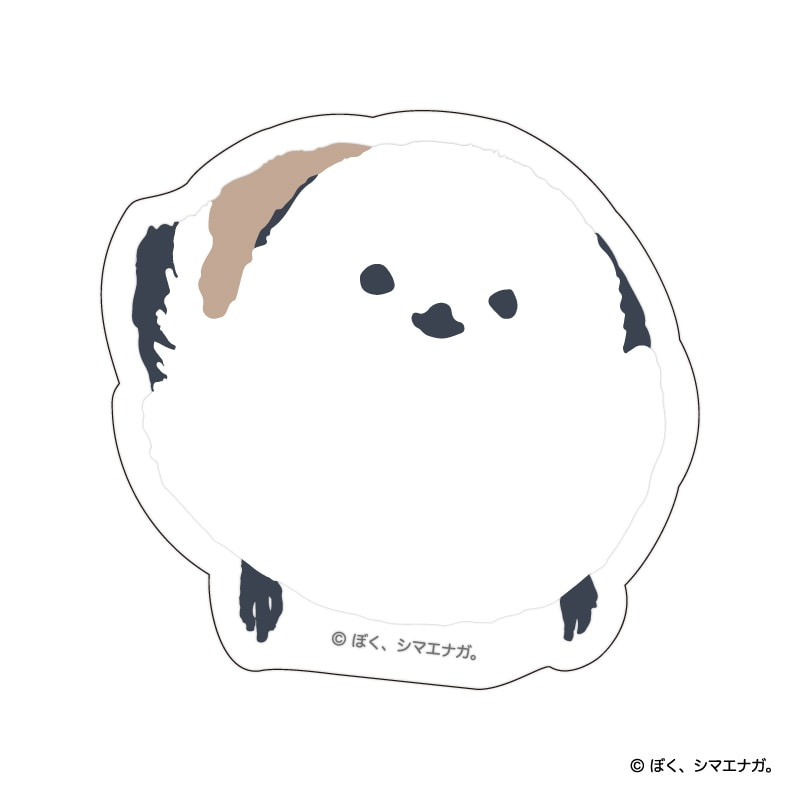 �ڂ��A�V�}�G�i�K�B�܂�܂�N���A�X�e�b�J�[�@���ӂ�