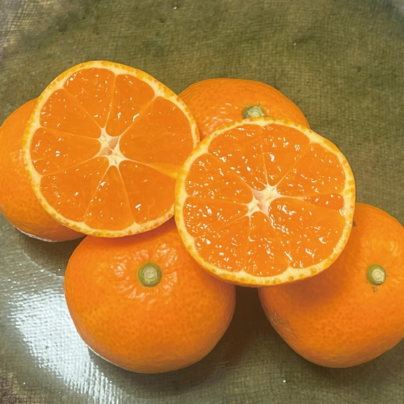 ɑ݂@썑̗z@uzvixPQxȏj
