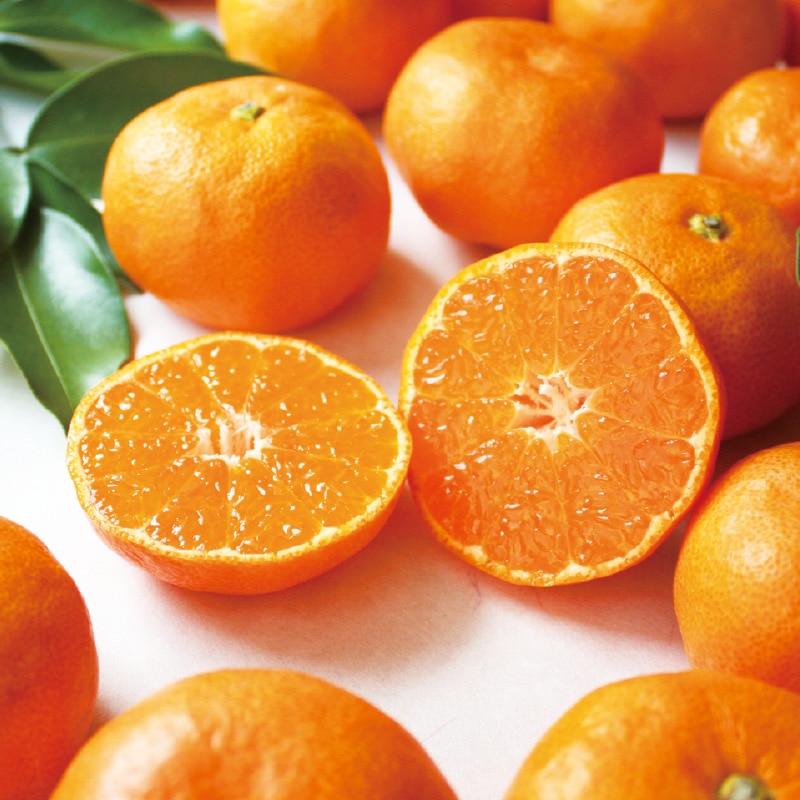 みかん ゆら】極早生みかん2．1kg｜郵便局のネットショップ