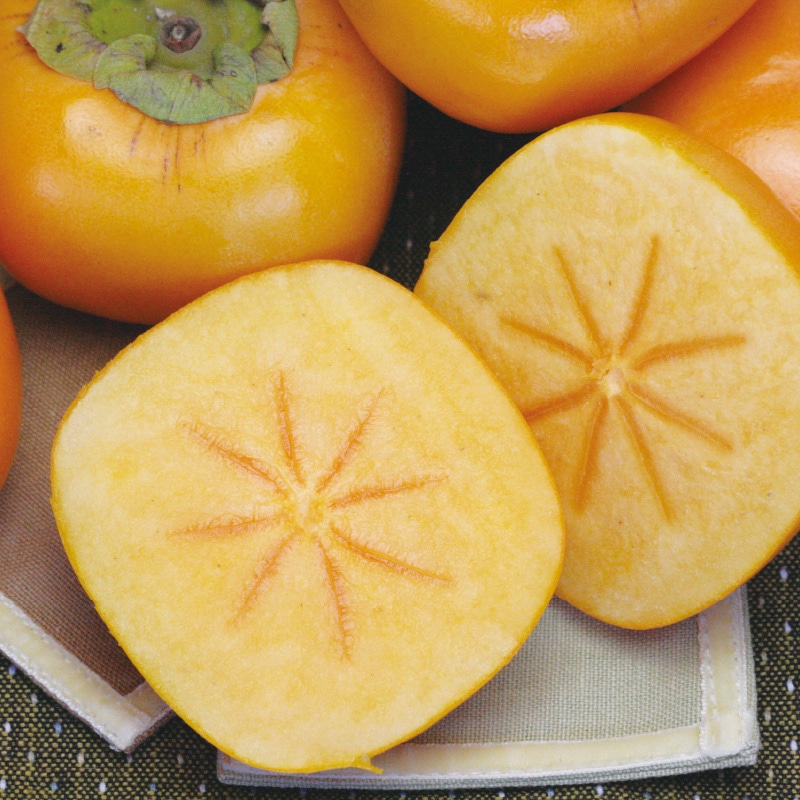 【コメント専用】会津御山産　みしらず柿 会津みしらず柿｜郵便局のネットショップ