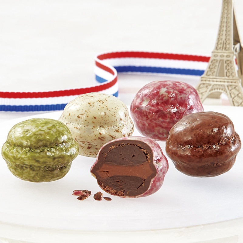 ���o�����^�C�������V���[�����}�J�����`���R���[�g