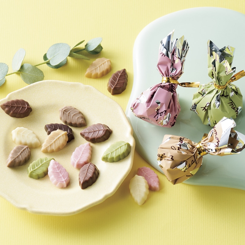 ���o�����^�C���������������[�������[�t�������[�M�t�g�{�b�N�X�@�S�O��