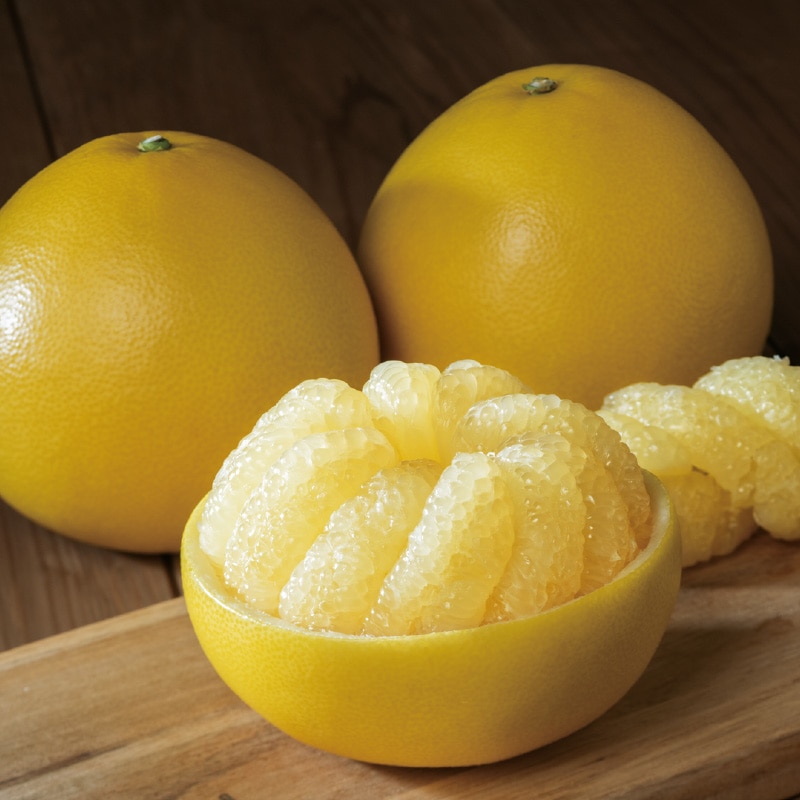 �y�����p�z�y�����U�R�D�P����