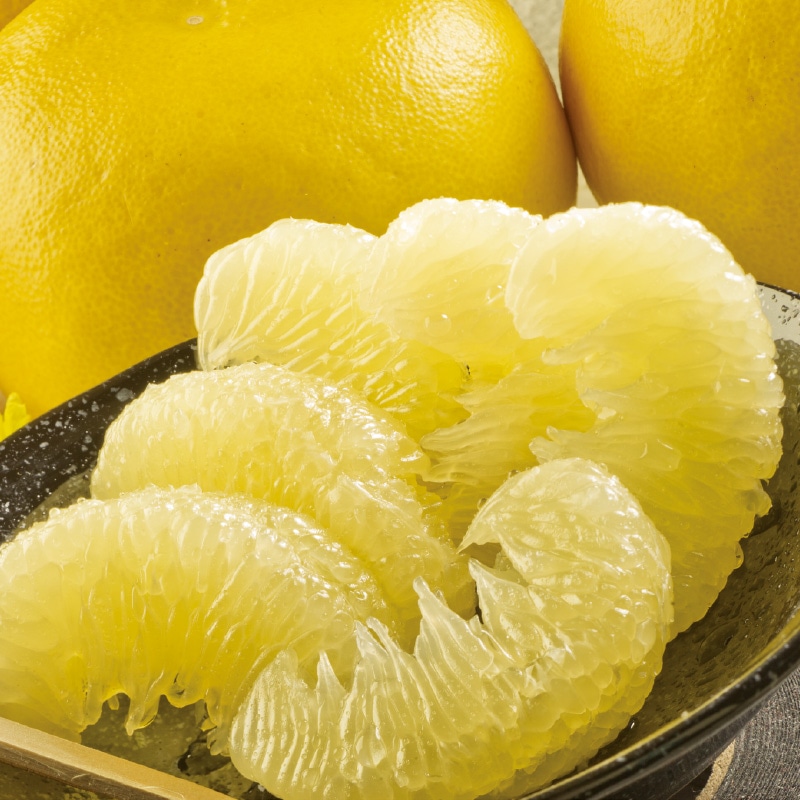 �y�ƒ�p�z�y�����U�S����