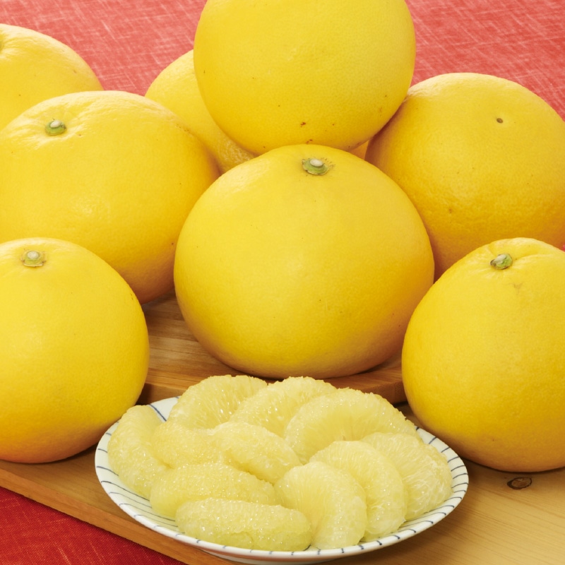 �y�����U�T����