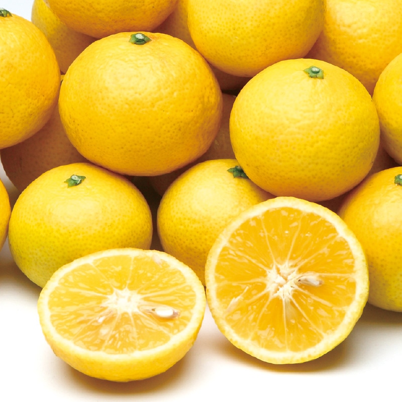 �Ó�S�[���h