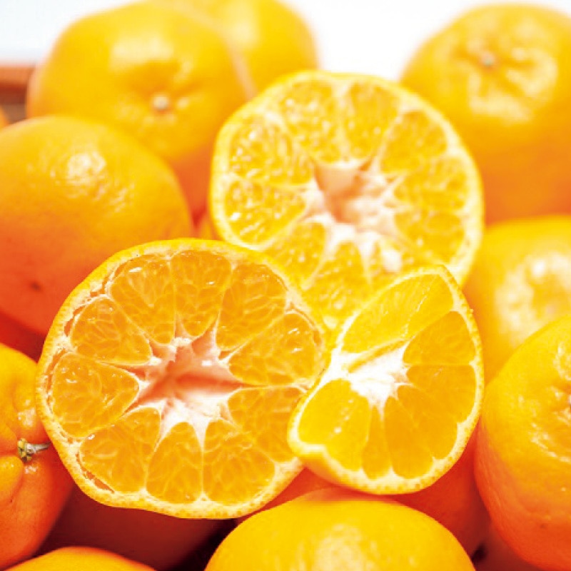 �y�ƒ�p�z�|���J���S�D�T����