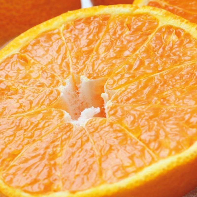 �y�ƒ�p�z�f�R�q���S�D�T����