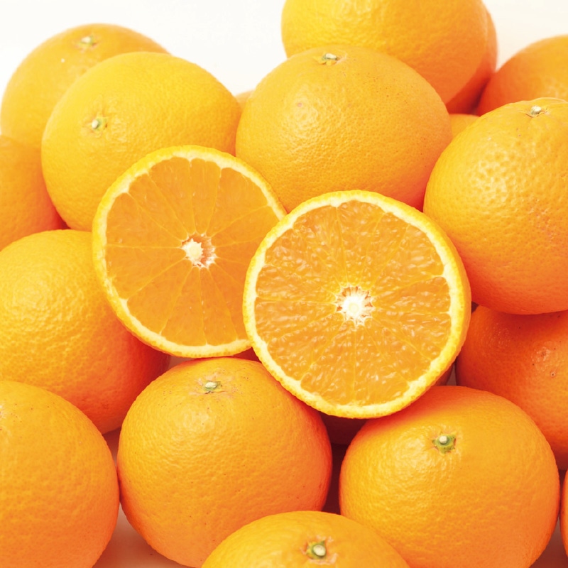 �y�ƒ�p�z�����S�D�T����