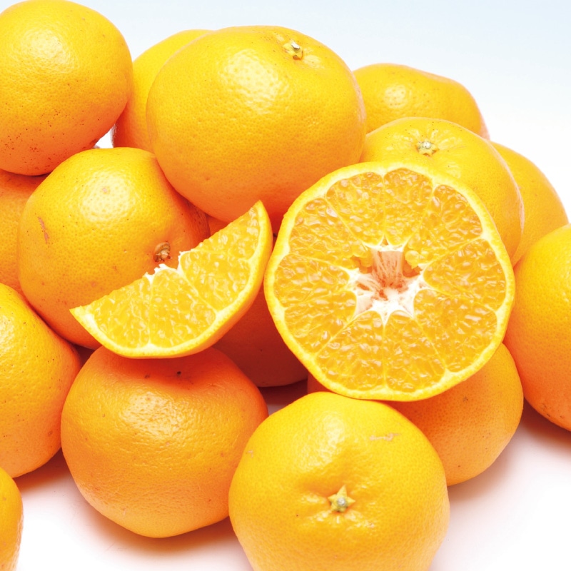 �y�ƒ�p�z�͂�݂S�D�T����