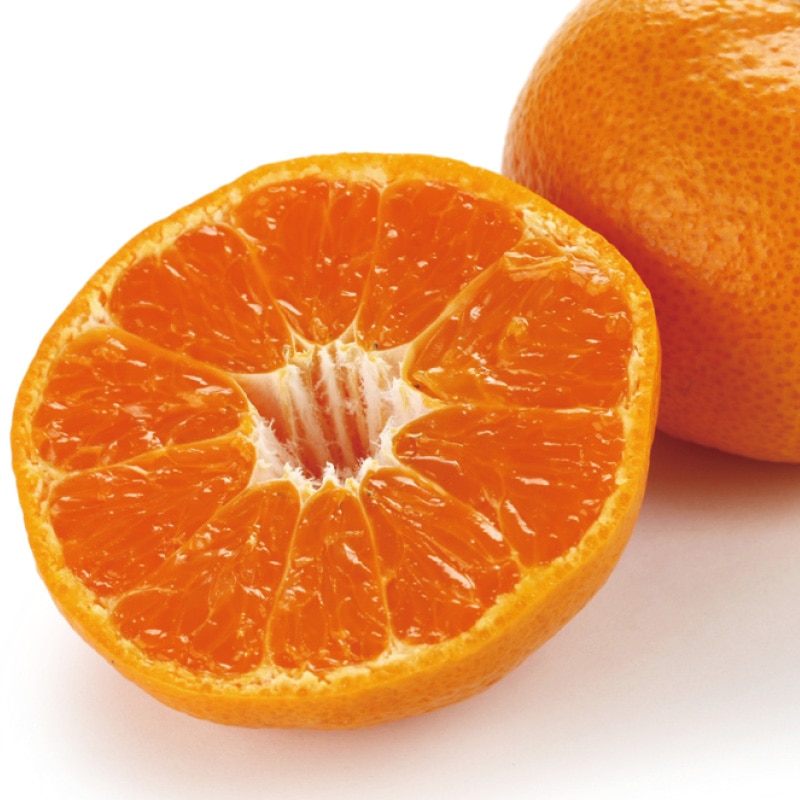 ��]�̓��@���܂݁@�Q����