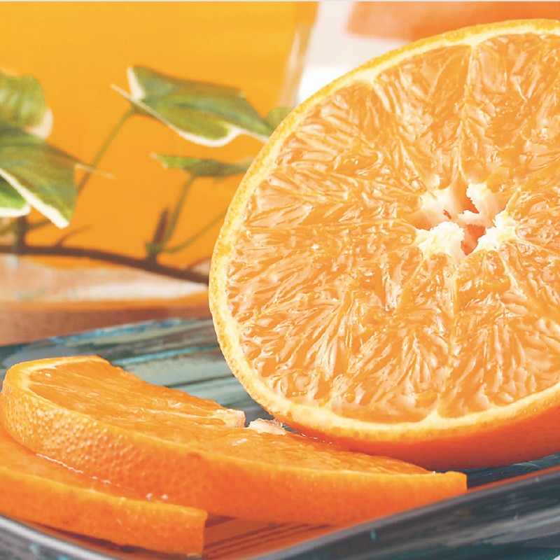 ��]�̓��@���Ƃ��@�Q����