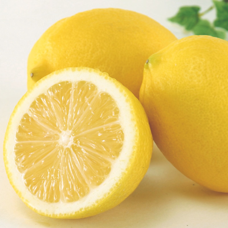 ��]�̓��@�������@�Q����