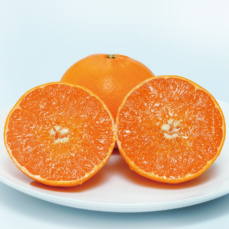 �y�ƒ�p�z���Ƃ��T����