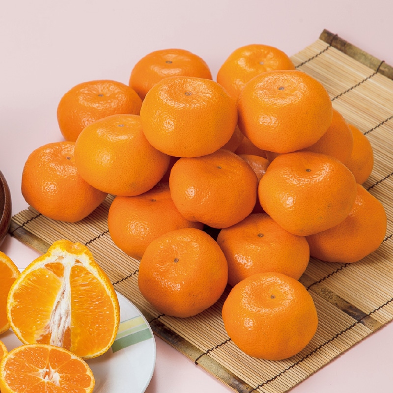 �F�{�݂���S����