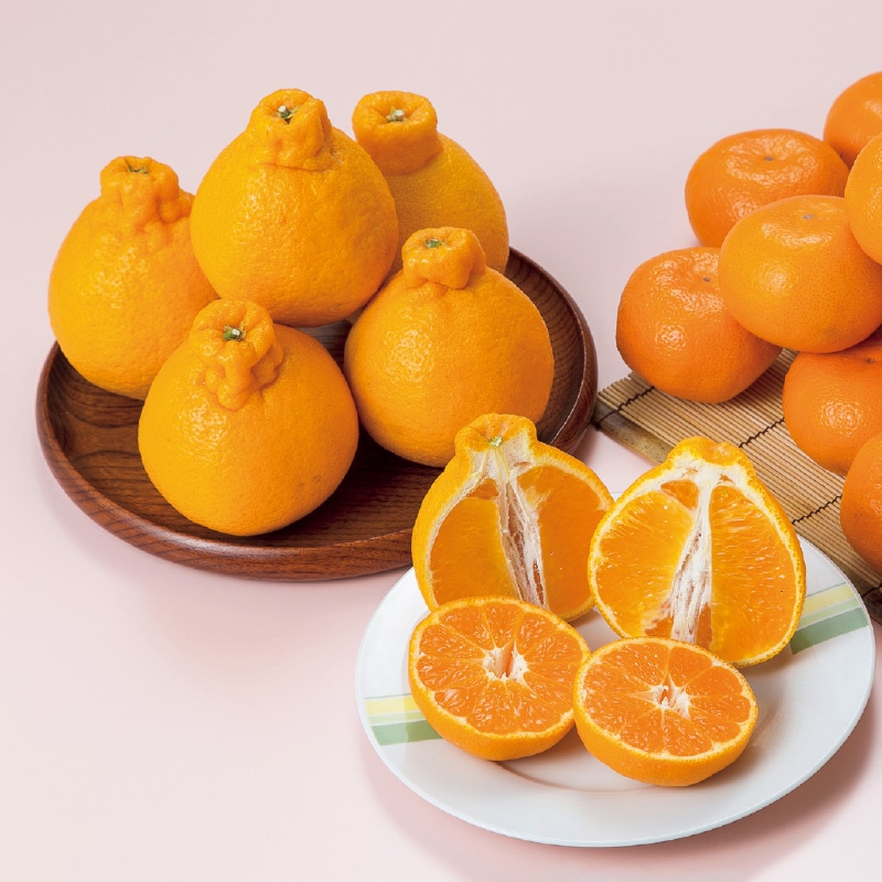 �n�E�X�f�R�|���Q�D�T����