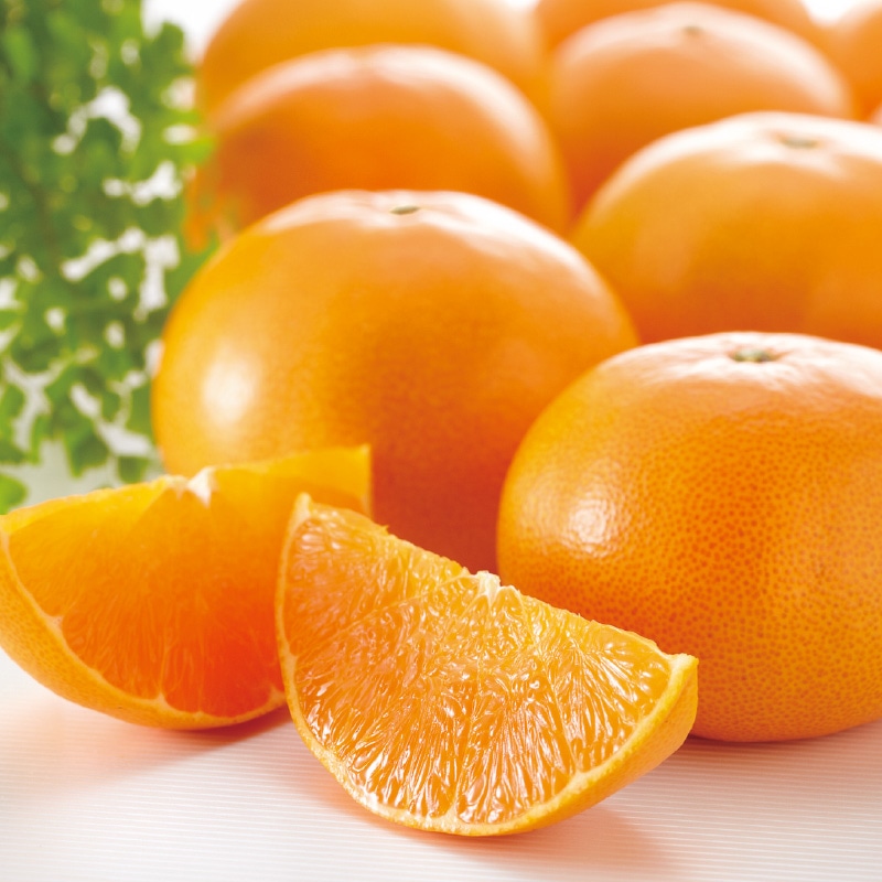 �y�ƒ�p�z���Ƃ��R����