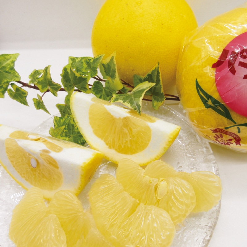 �p�[�����Q�D�S����