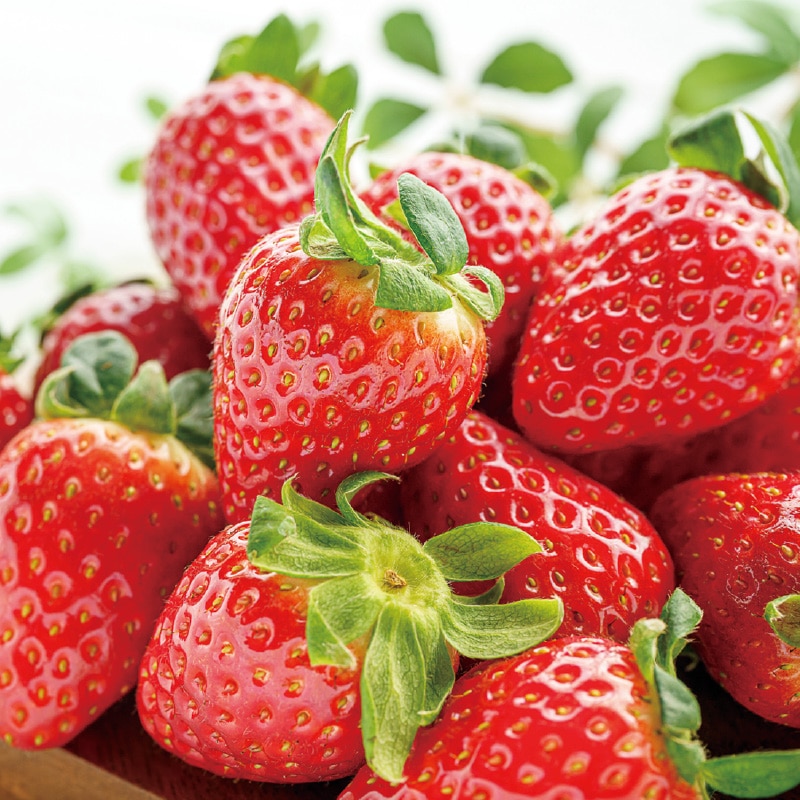 �Ós�؁i���Ƃ��j