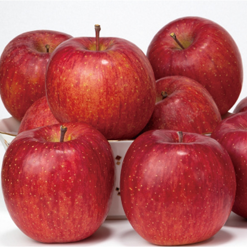 �y���x�P�S�x�ȏ�I�ʁz�����x�T���ӂ�