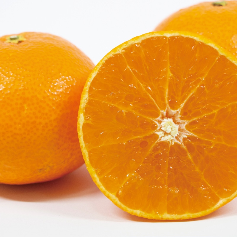 ���Ƃ��Q�D�T����