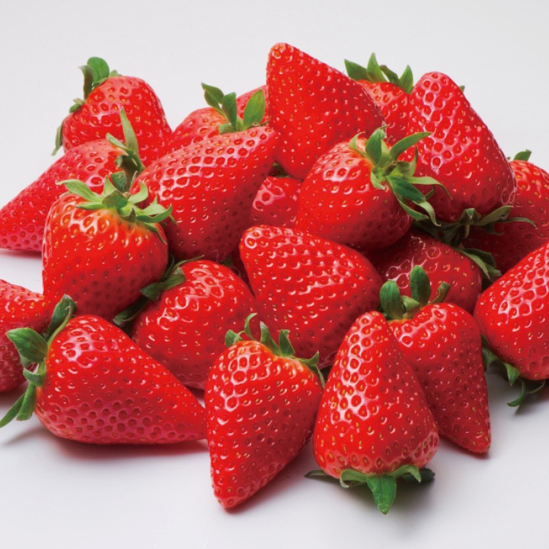 ����ҍ��@�X�O�O��