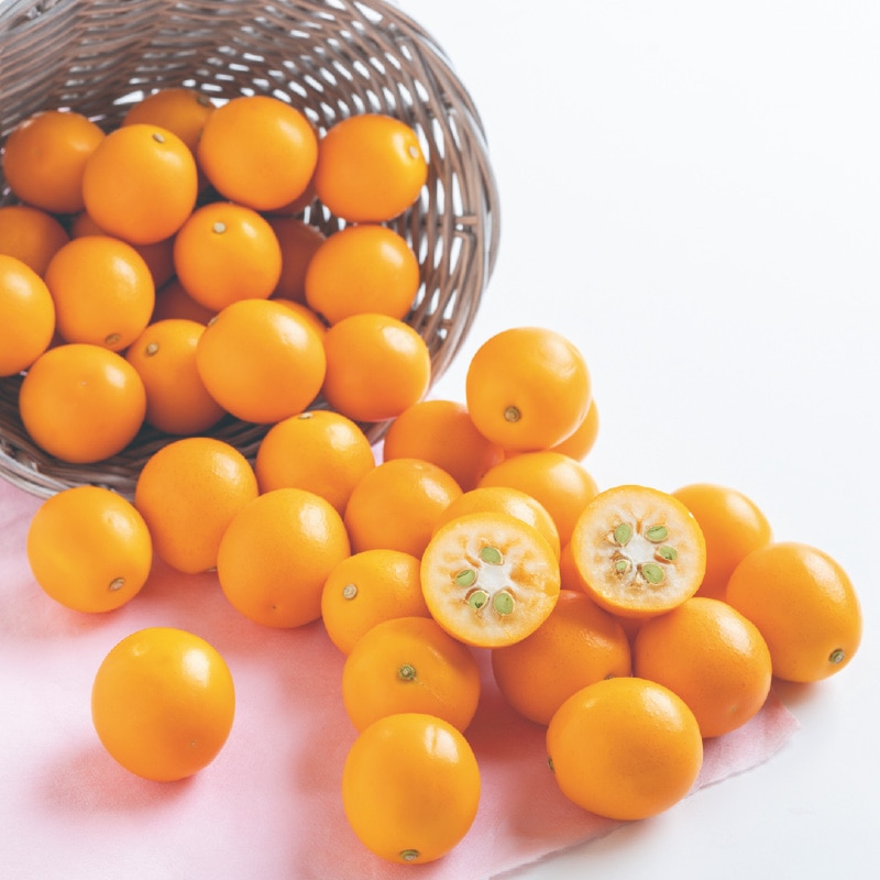 �����x���n�����@����