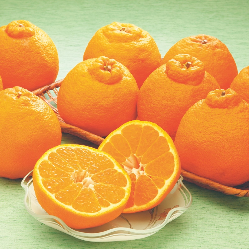 �i�`���Ђߒ����@�f�R�|���@�Q�D�Q����