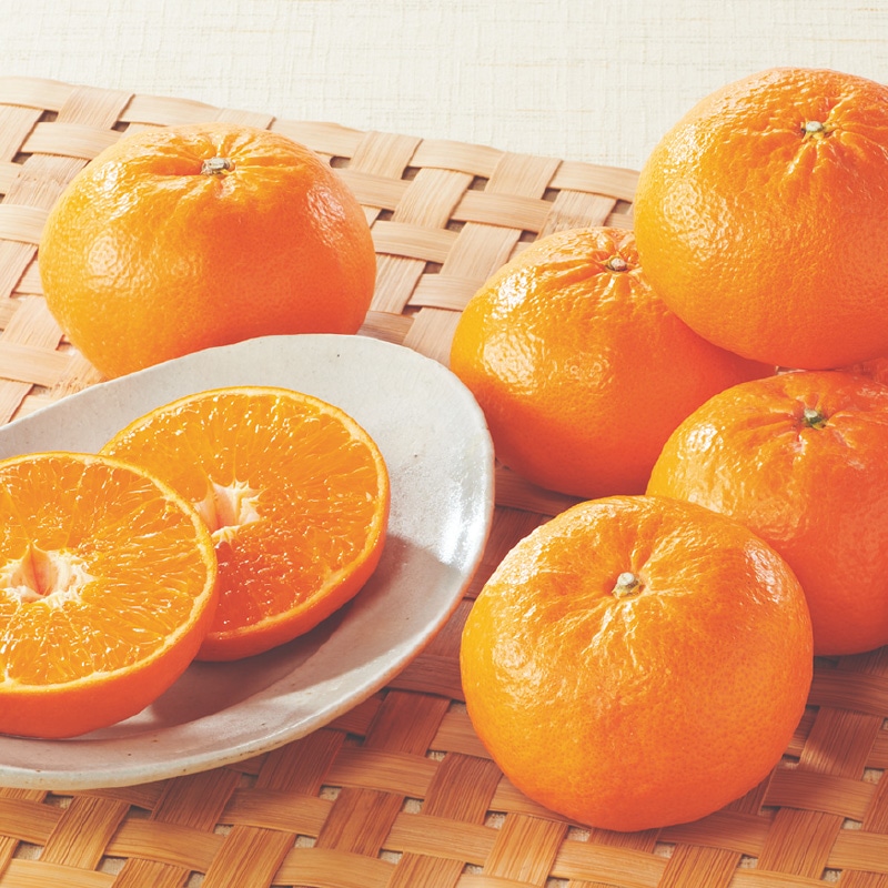 �i�`����@�͂܂����@�P�D�V����