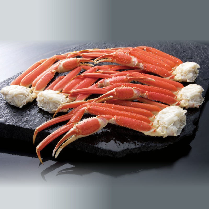 �y�Ⓚ�z����ł��킢�I�r�@�Q����